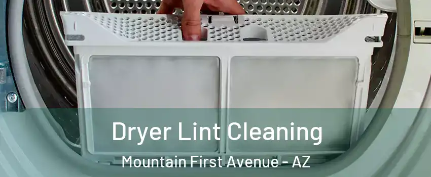 Dryer Lint Cleaning Mountain First Avenue - AZ