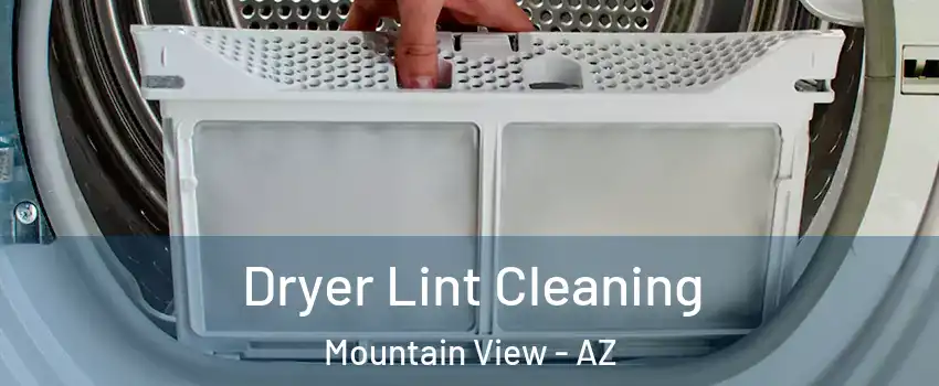 Dryer Lint Cleaning Mountain View - AZ