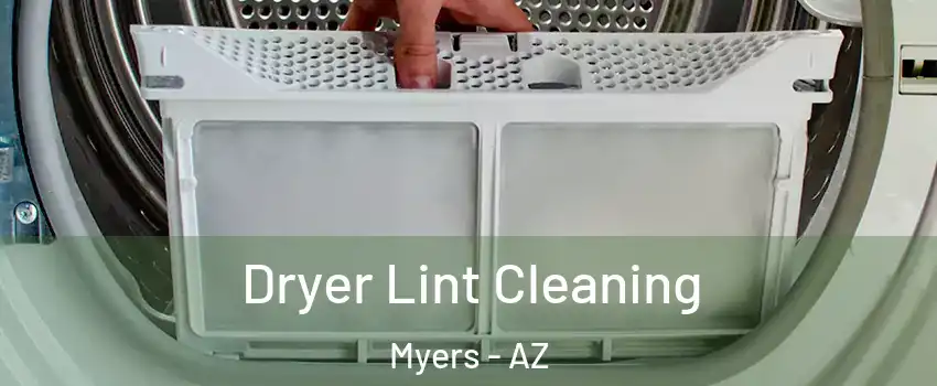 Dryer Lint Cleaning Myers - AZ