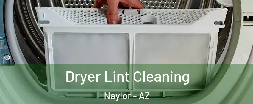 Dryer Lint Cleaning Naylor - AZ