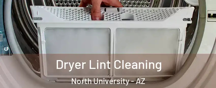 Dryer Lint Cleaning North University - AZ