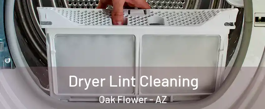 Dryer Lint Cleaning Oak Flower - AZ