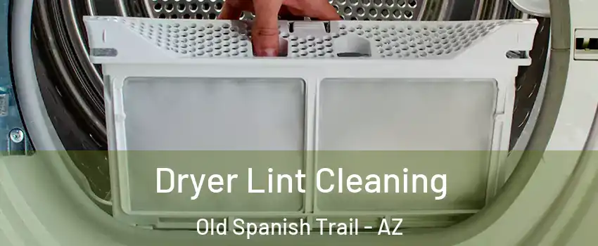 Dryer Lint Cleaning Old Spanish Trail - AZ