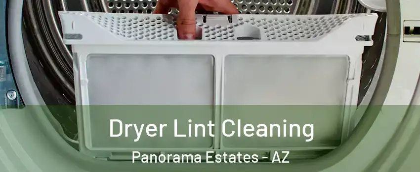 Dryer Lint Cleaning Panorama Estates - AZ