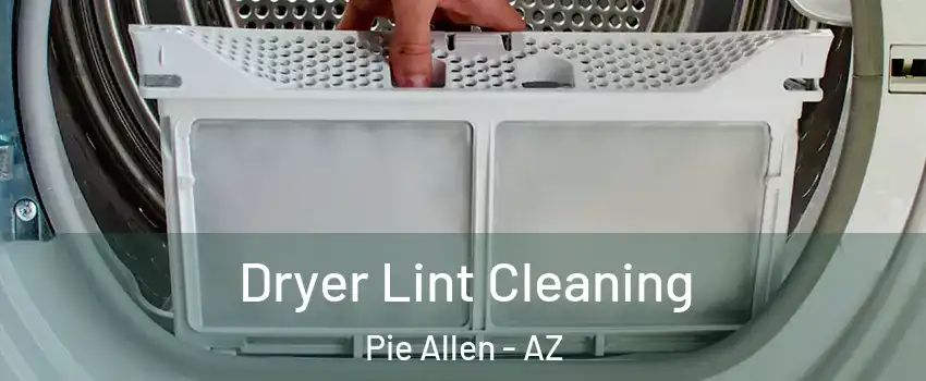 Dryer Lint Cleaning Pie Allen - AZ