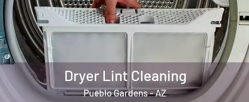 Dryer Lint Cleaning Pueblo Gardens - AZ