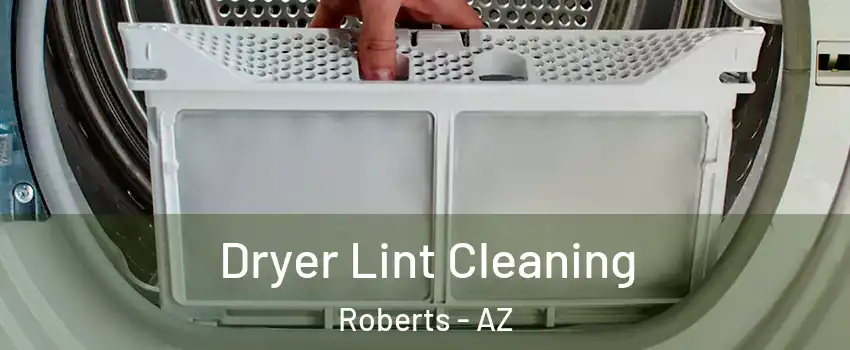 Dryer Lint Cleaning Roberts - AZ