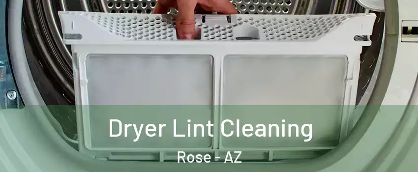 Dryer Lint Cleaning Rose - AZ