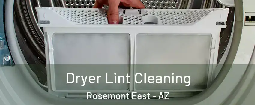 Dryer Lint Cleaning Rosemont East - AZ