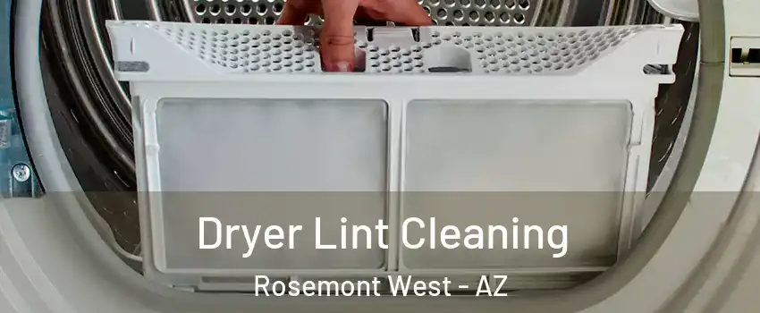 Dryer Lint Cleaning Rosemont West - AZ