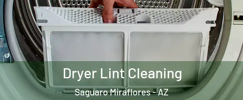 Dryer Lint Cleaning Saguaro Miraflores - AZ