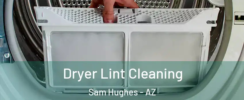 Dryer Lint Cleaning Sam Hughes - AZ