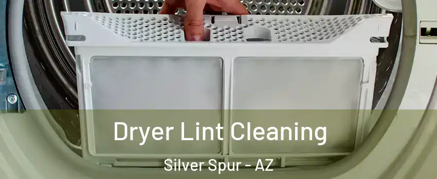 Dryer Lint Cleaning Silver Spur - AZ