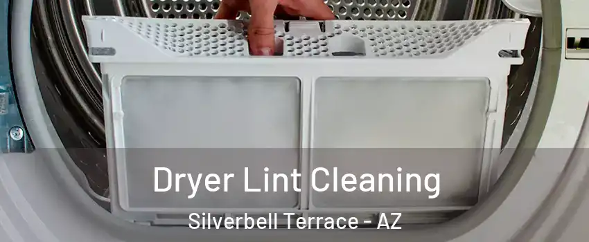 Dryer Lint Cleaning Silverbell Terrace - AZ