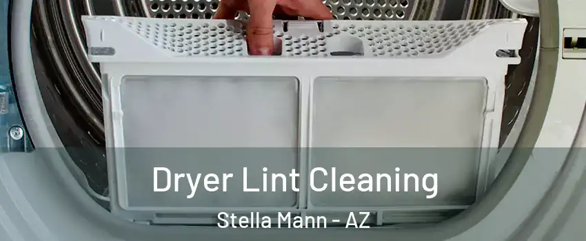 Dryer Lint Cleaning Stella Mann - AZ