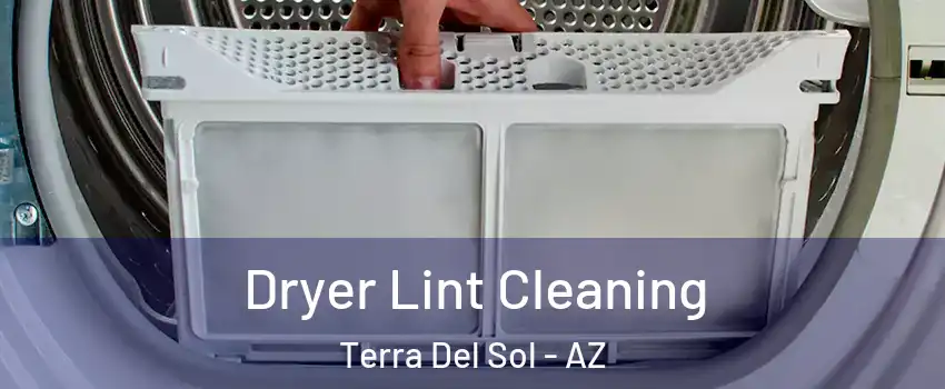 Dryer Lint Cleaning Terra Del Sol - AZ