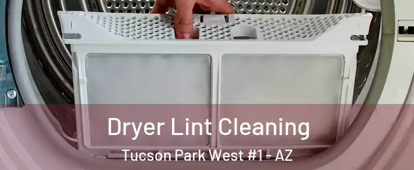 Dryer Lint Cleaning Tucson Park West #1 - AZ