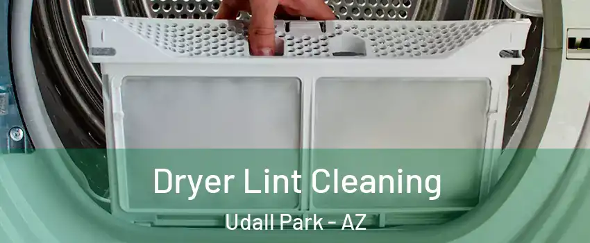Dryer Lint Cleaning Udall Park - AZ