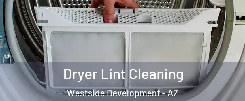 Dryer Lint Cleaning Westside Development - AZ