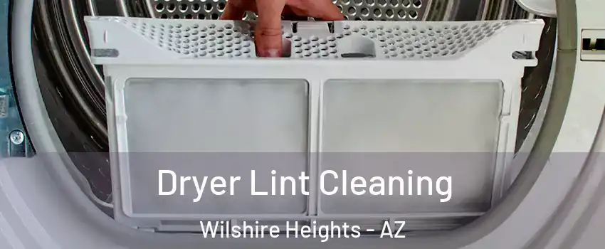 Dryer Lint Cleaning Wilshire Heights - AZ