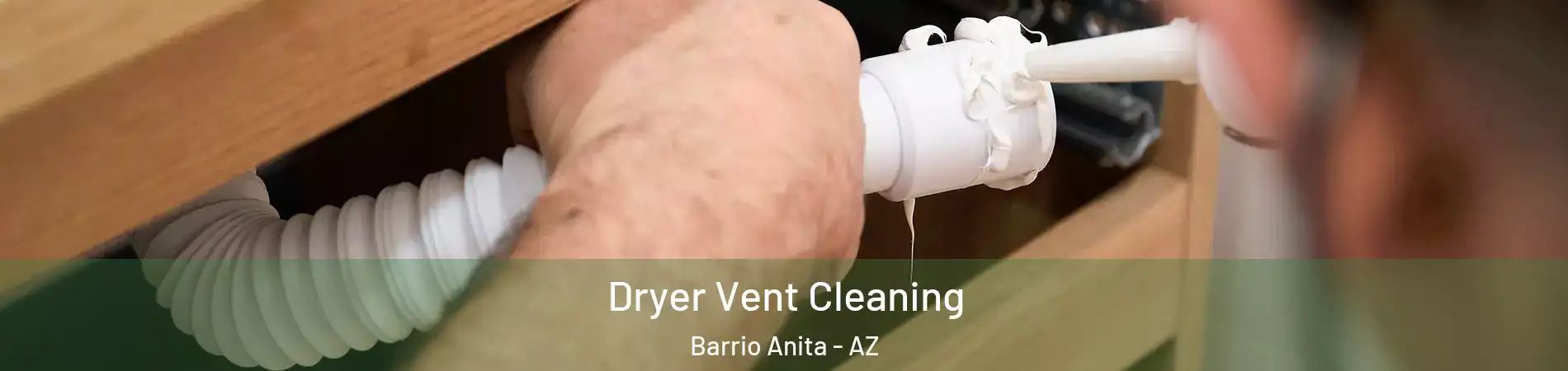 Dryer Vent Cleaning Barrio Anita - AZ