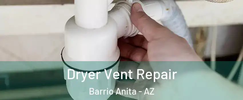 Dryer Vent Repair Barrio Anita - AZ
