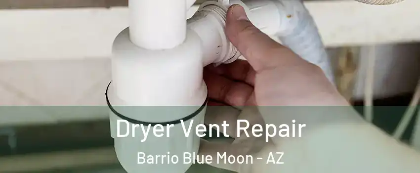 Dryer Vent Repair Barrio Blue Moon - AZ