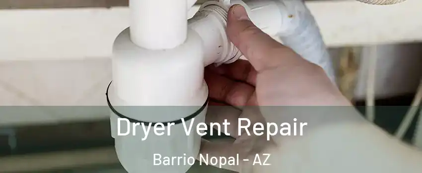 Dryer Vent Repair Barrio Nopal - AZ