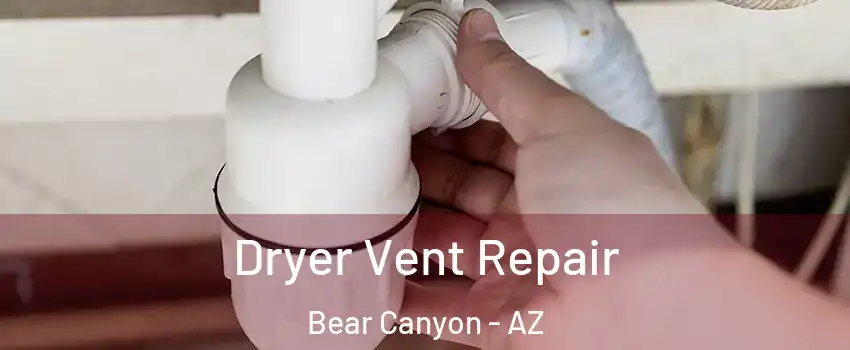 Dryer Vent Repair Bear Canyon - AZ