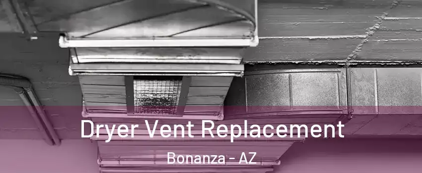 Dryer Vent Replacement Bonanza - AZ