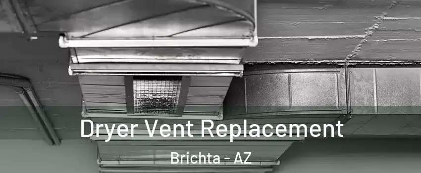 Dryer Vent Replacement Brichta - AZ