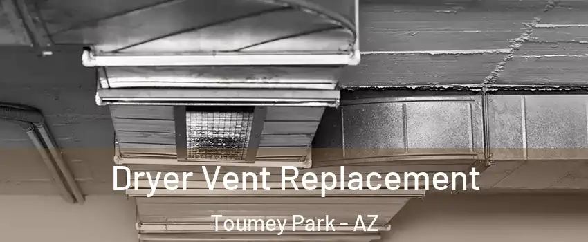 Dryer Vent Replacement Toumey Park - AZ