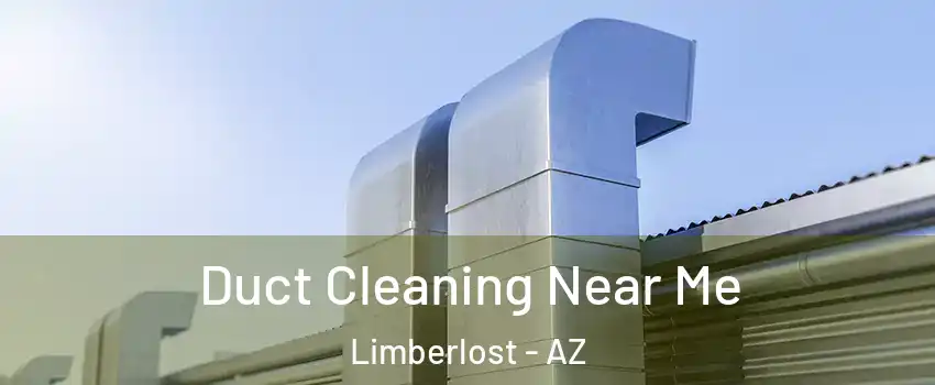 Duct Cleaning Near Me Limberlost - AZ