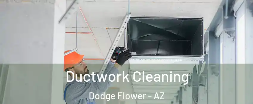 Ductwork Cleaning Dodge Flower - AZ