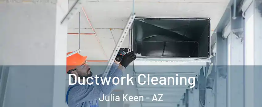 Ductwork Cleaning Julia Keen - AZ