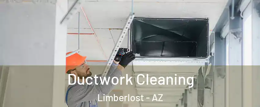 Ductwork Cleaning Limberlost - AZ