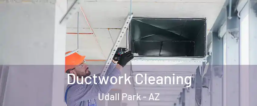Ductwork Cleaning Udall Park - AZ