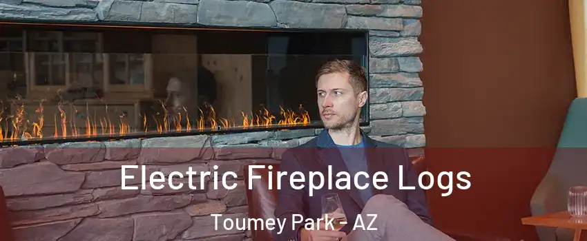 Electric Fireplace Logs Toumey Park - AZ