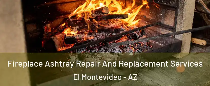 Fireplace Ashtray Repair And Replacement Services El Montevideo - AZ