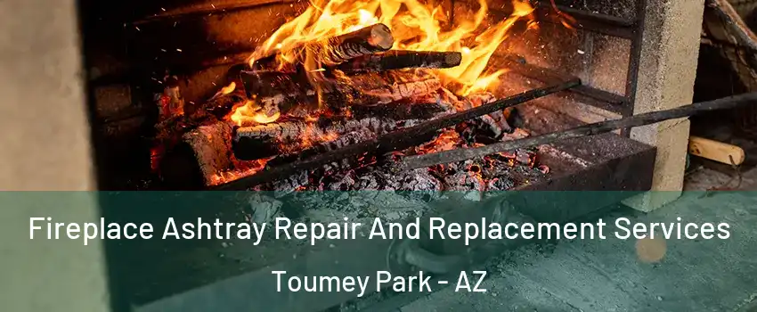 Fireplace Ashtray Repair And Replacement Services Toumey Park - AZ