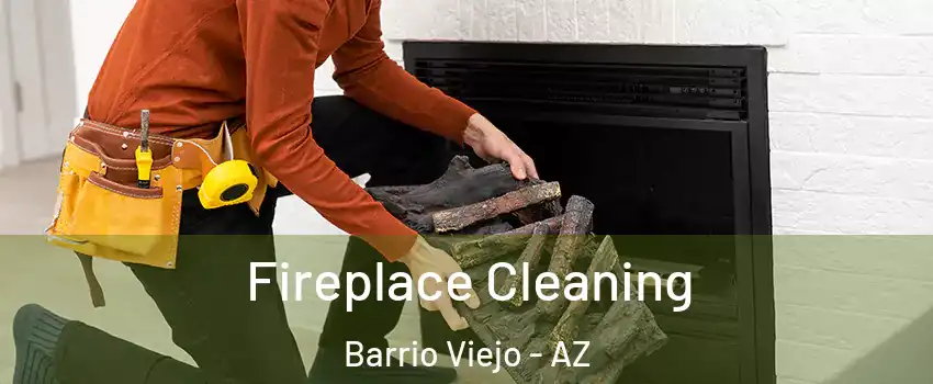 Fireplace Cleaning Barrio Viejo - AZ