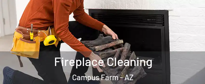 Fireplace Cleaning Campus Farm - AZ