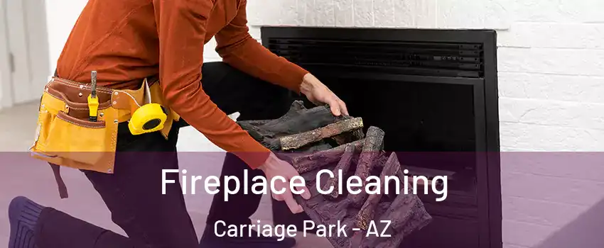 Fireplace Cleaning Carriage Park - AZ