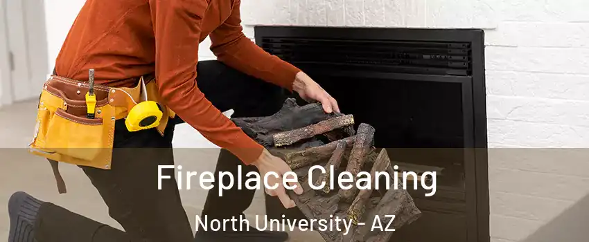 Fireplace Cleaning North University - AZ