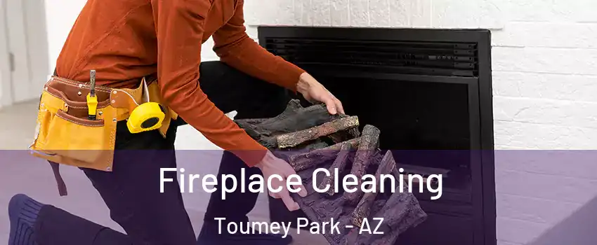 Fireplace Cleaning Toumey Park - AZ