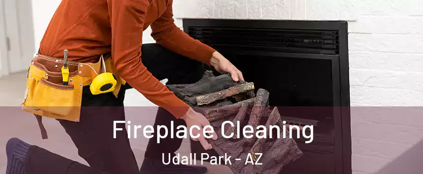 Fireplace Cleaning Udall Park - AZ