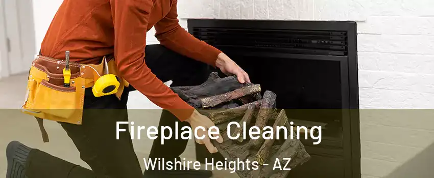Fireplace Cleaning Wilshire Heights - AZ