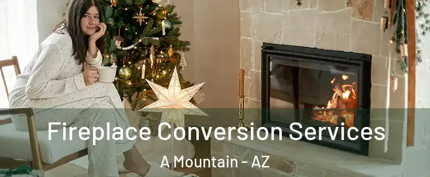 Fireplace Conversion Services A Mountain - AZ