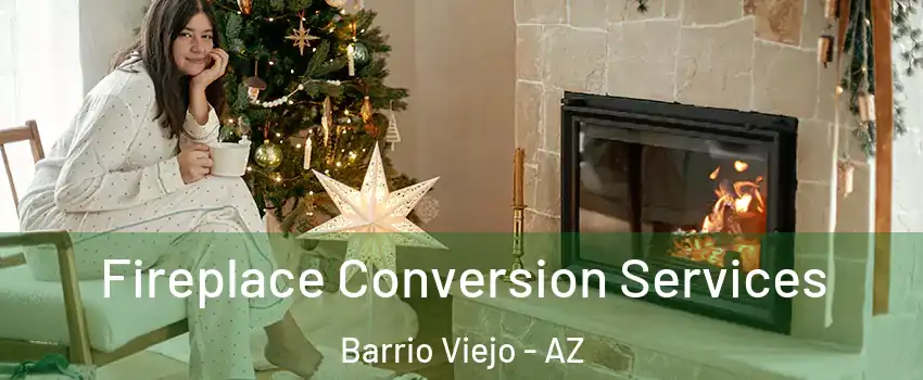 Fireplace Conversion Services Barrio Viejo - AZ