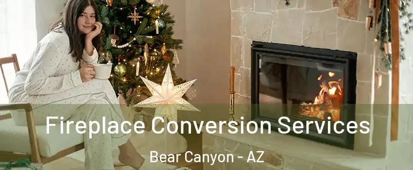 Fireplace Conversion Services Bear Canyon - AZ